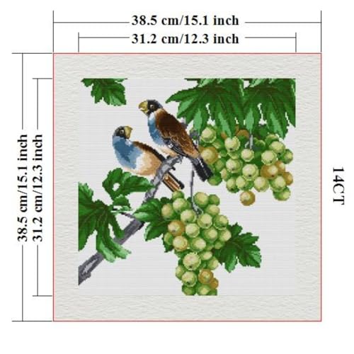 Image of Stamped Cross Stitch Kits Full Range of DIY Needlepoint for Adult Beginners Pattern, for Gift and Home Decor 14CT 2 Strands Two Parrots 5,15x15 inch