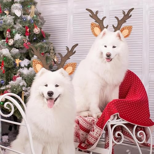 Disfraz de cuernos de reno para perros y gatos miniatura 4
