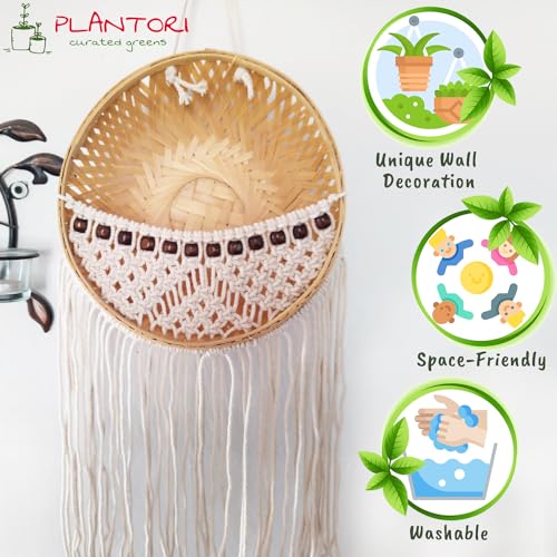 PLANTORI Set of 2 Hanging Planters for Living Room | Indoor Plant Pots and Planters for Home | Beautiful Flower Pots | Hanging Basket Diameter - 9 inches