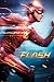 The Flash - DC Comics TV Show Poster/Print (Speed) (Size: 24 inches x 36 inches)