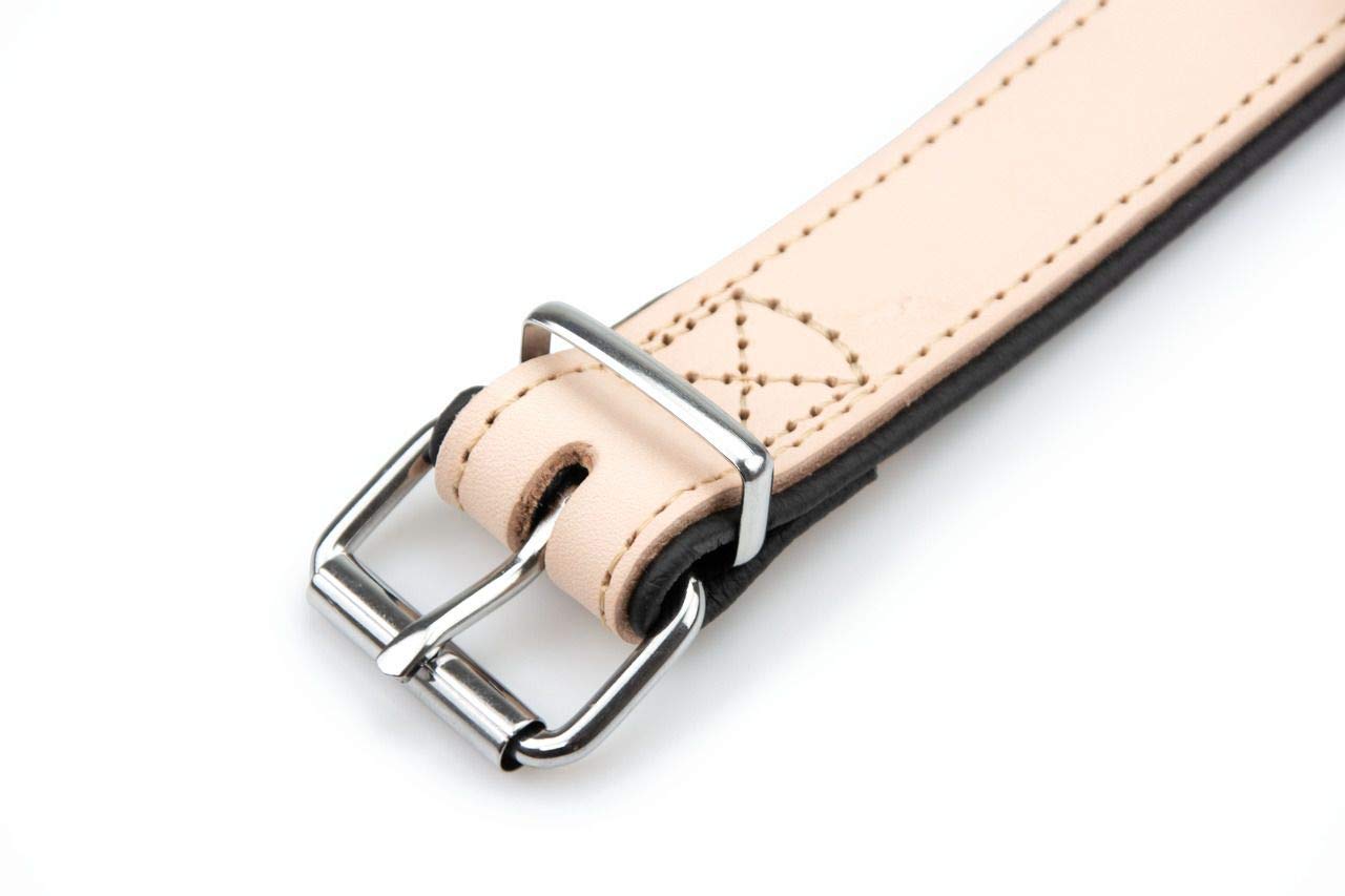 Karlie Halsband Rondo Für Hunde | Vollleder, Mit Weichem Nappaleder Unterlegt | Länge 57 Cm, Breite 22 Mm | Schwarz