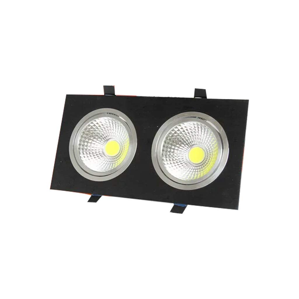 HynJGih Double Head/Spotlight/Led/Grille/Double Cylinder/Rectangular/Downlight/Aisle/Ceiling/Daring Lamp/Embedded/Bean Gall Light / 10x20(Black 6W,Warm Light)