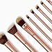 BH Cosmetics Metal Rose 11 Piece Brush Set With Cosmetic Bag