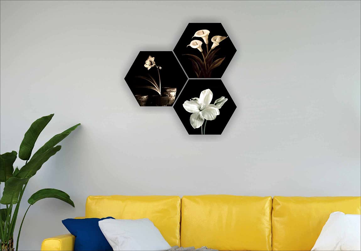 SAF Hexagon Flower Pot Paintings - Set of 3 -2