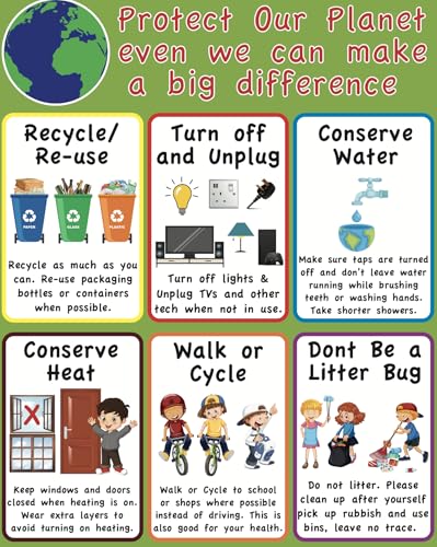 Poster environnement Rockfield indéchirable pour enseigner l'écologie sans usure