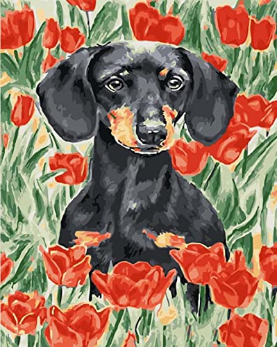 Peinture au diamant 5D fleur rouge et chien noir, kit complet de broderie d'art 30x40 cm
