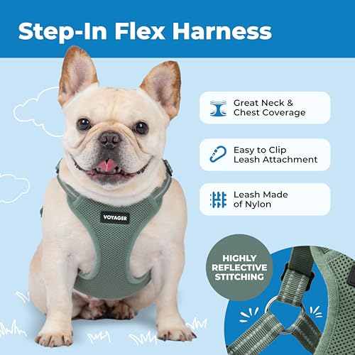 Image of Best Pet Supplies Voyager Adjustable Step-in Flex Breathable Mesh Dog Harness for Small Medium Large Dogs (Moss Green), XL