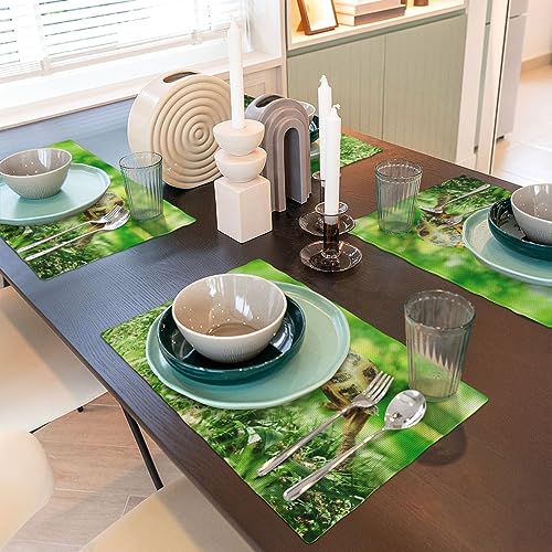 Set de table antidérapant anti-tache lavable pour table propre - 7