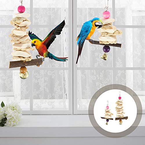 POPETPOP 2Pcs Natural Cuttlebones Cuttlebones Dentes Molar Toy Chew Toy Gaiola de Pássaro Pássaro de