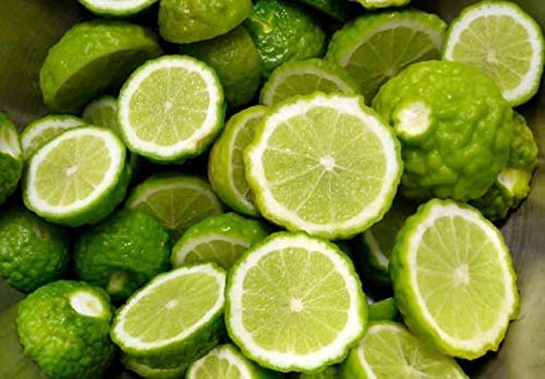 Portal Cool Semillas 20pcs Orgã¡Nicos Fruta tailandesa de Lima Kaffir Verde Citrus Bonsái Inicio Jardã­n