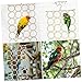 Milisten 2Pcs Parrot Swing Rope Bird Climbing Ladder Hanging Activity Net for Pet Parrots Bird for Play and Exercise for Bird Cage Accessories
