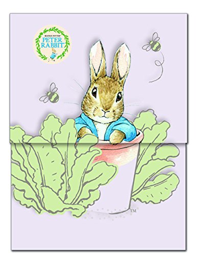 Robert Frederick Mini Magnetic NOTEBOOKS in CDU-Peter Rabbit Adventures, Assorted, 50 x 30 x 10 cm