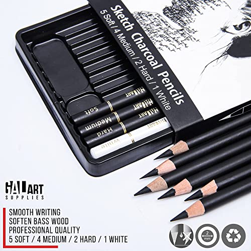 Galart Supplies Charcoal Drawing Set With Organizer Tray – 12 Pieces Soft, Medium, Hard And White Charcoal Pencils For Drawing, Shading And Sketching For Artists And Beginners #TOP4