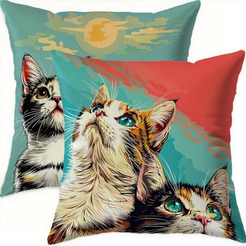 Housses de coussin de décoration en velours double face chat carré brun - 2