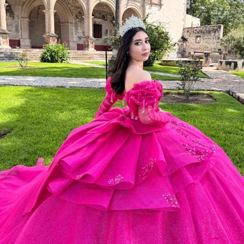 Glitter Long Sleeve Quinceanera Dresses with Bow Pleated Tassel Sweet 16 Dresses Beaded Tulle Vestido de 15 años2