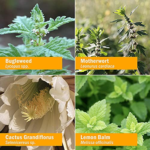 Herb Pharm Thyroid Calming Herbal Formula For Endocrine System Support, 4 Oz #TOP5