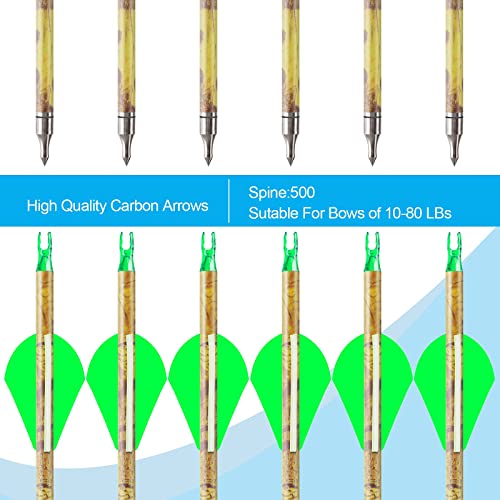 Aimdor Carbon Arrow 12 Pcs 30 Inch Practice Hunting Arrows With Removable Tips For Compound Recurve Bow Kids Bow Longbow With Paper Target Arrow Puller And Target Nails #TOP4