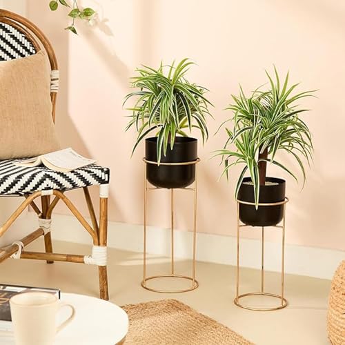 Image of amazon basics Metal Floor Planters with Stands (Set of 2) | for Living Room and Bedroom Decor (Black)
