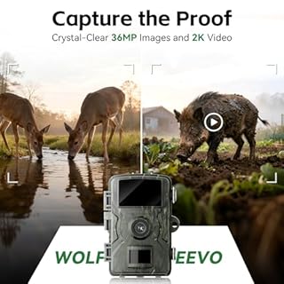 Wolfeevo Trail Camera, 36MP 2K 0.1S Trigger Motion Activated,Game Camera with Night Vision IP66 Waterproof 2.0''LCD 90° Cam Lens for Outdoor Scouting Wildlife Monitoring Home Security, Gifts for Men