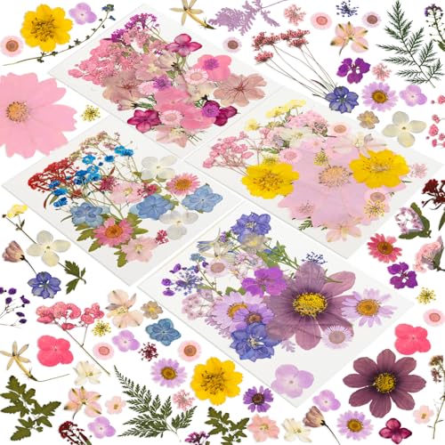 204 Pcs Dried Pressed Flowers for Resin Crafts Real Natural Pressed Flowers and Leaves Kit Butterfly Stickers Vacuum Sealed Dry Flowers for DIY Epoxy Resin Jewelry Molds Candle Soap Making Nail Art