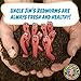 Uncle Jim's Worm Farm 250 Count Red Wiggler Composting Worms Mix for Garden Soil or Fishing | Starter Pack of Compost Worms Improves Soil Structure and Quality for Healthier Gardens