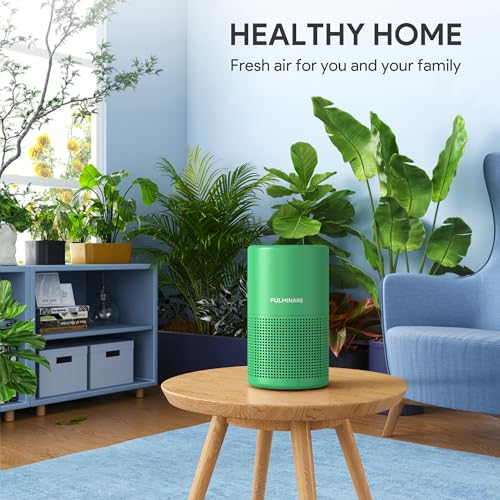 Image of FULMINARE Air Purifiers for Home Bedroom H13 HEPA Air Filter | 360 Intake for Pet Hair, Smoke, Odors , 3 Speeds, Timer, 24dB, Small Mini Air Purifier with Night Light, Mint Green