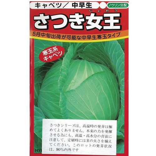 ＊匿名配送＊　たま写真集とポストカード1枚　キャベツ（希少） Amazon | キャベツ 種 さつき女王 小袋（約100粒） | 野菜