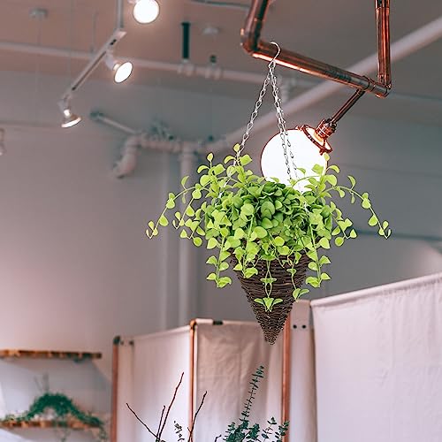 Eringogo 2 Pcs Hanging Planters, 10 Inches Cone Shaped Hanging Basket With Plastic Liner, Wicker Hanging Flower Pot, Indoor Outdoor Ceiling Plant Pots For Garden, Home #TOP7