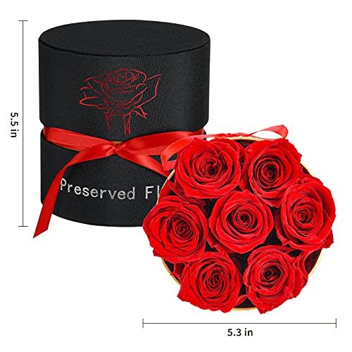 Houele Preserved Roses In A Box, Eternity Roses, Premium Roses, Real Roses That Last A Year And More, Fresh Flowers For Mothers Day, Valentines Day, Anniversary, Birthday, Bridal Gifts (Red: 7 Roses) #TOP6