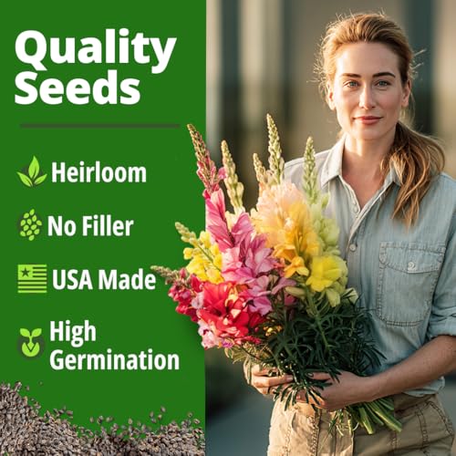 Image of HOME GROWN Snapdragon Seeds Tetra (0.3g) - 2000 Tall Flower Seeds to Plant Outside - Vibrant Perennial Snapdragons Mixed Colors - Cut Flower Seeds for Gardens, Borders, Bouquets (Antirrhinum majus)
