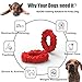 GUCHO Durable Dog Chew Toys for Aggressive Chewers Nearly Indestructible Dog Toys Tough Nylon Puppy Chew Toys for Medium/Large Dogs, Training Teething Toys (L-4.9INCH)
