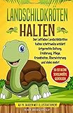  Landschildkröten halten: Der Leitfaden Landschildkröten halten schrittweise erklärt! Artgerechte Haltung, Ernährung, Pflege, Krankheiten, Überwinterung und vieles mehr!