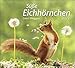 Eichhörnchen Bildkalender 2022 - times&more Tier-Kalender - Wandkalender mit Monatskalendarium - 30 x 27 cm