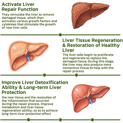 Dengwang Vegan Liver Cleaning Nasal Herbal Box, 5 Flavors Nasal Herbal Box For Liver, Suitable For All People (Mint+Rosemary+Lemon+Cola) #TOP5