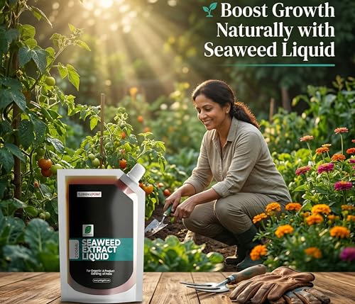 Image of B Natural Organic Seaweed Extract Liquid For Spray On Plants & Garden (1, Seaweed 200ml)