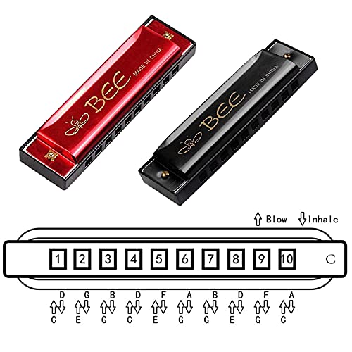 Harmonica pour Enfants, 2 Pièces Harmonica Diatonique, Harmonica Blues Diatonique, Harmonica en Do, Harpe Diatonique… - Les Beatles, Paul McCartney, John Lennon, RIngo Starr, George Harrison Harmonica pour Enfants, 2 Pièces Harmonica Diatonique, Harmonica Blues Diatonique, Harmonica en Do, Harpe Diatonique… – Image 5