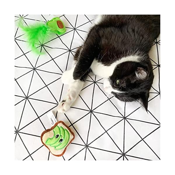 Quirky kitty avocado toast - image 4