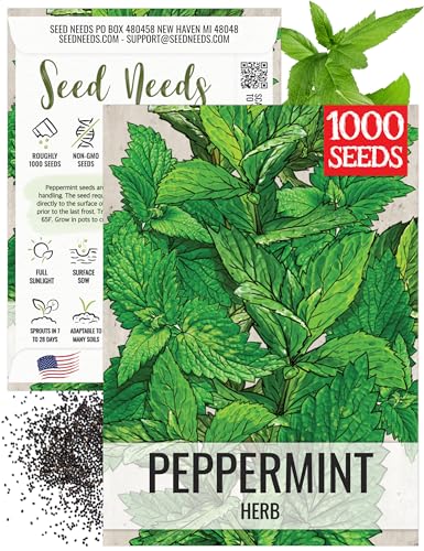 Seed Needs Peppermint Seeds to Plant Heirloom Non-GMO Mint Herbs 1 Pack