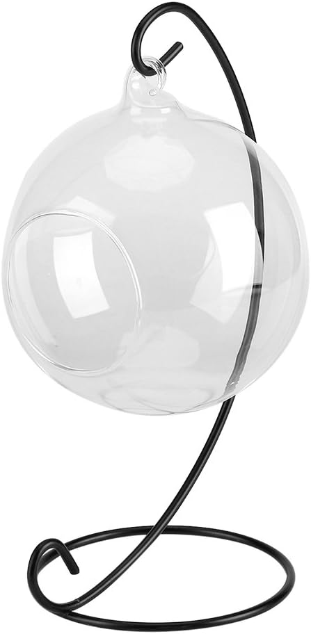 YUUGA Jarrón de Cristal Colgante, Jarrón de Cristal Colgante Terrario Grande con Marco para macetas suculentas de Plantas de Aire