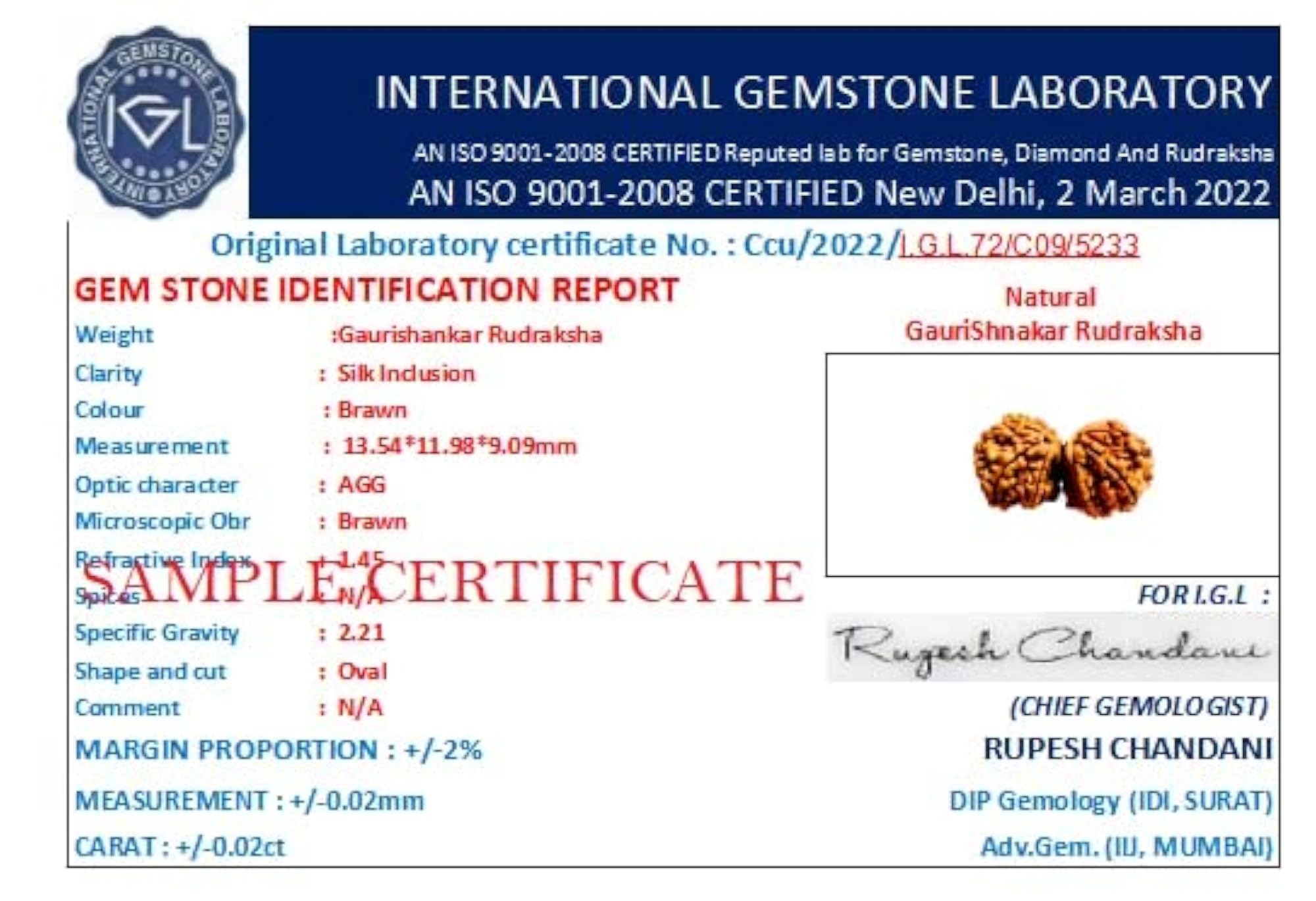 Gauri Shankar Rudraksha Pendant, IGL Certified