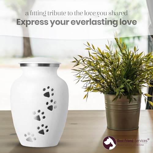 Best Friend Services Pet Urn - Ottillie Paws Legacy Memorial Pet Cremation Urns for Dogs and Cats Ashes Hand Carved Brass Memory Keepsake Urn (Medium, Cloud White Vertical Pewter Paws) - Thumbnail 6