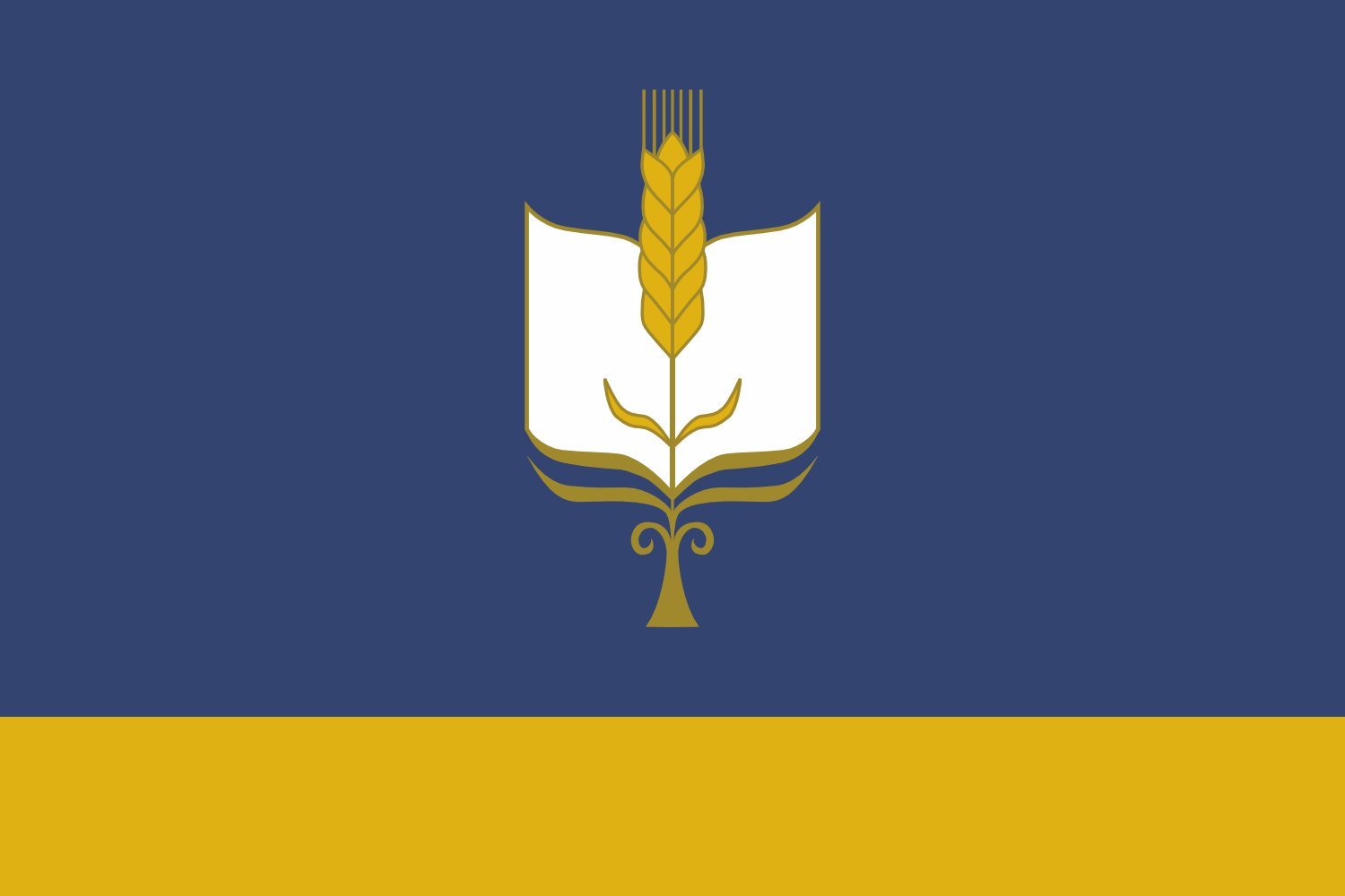 Drapeau Sterlibashevsky rayon anti-effilochage grand format résistant