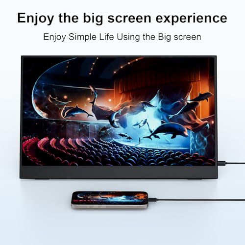 Image of 14 Inch Portable Monitor for Laptop, 1366x768 IPS Display, with Stand, USB Type C and Mini HDMI Port, Suitable for Laptops, PC, Mobile Phones, PS, Xbox, as an Laptop Monitor Extender