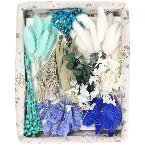 120 Pcs Blue DIY Natural Dried Flower Set miniatura 1