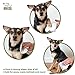 Best Pet Supplies Pet Grooming Wipes for Dogs, 100 Pack, Plant-Based Deodorizer for Coats & Dry, Itchy, or Sensitive Skin, Clean Ears, Paws, Body, & Butt - Cleansing Tea Tree