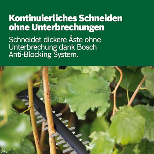 Bosch Akku-Heckenschere UniversalHedgeCut 18V-50 (1 Akku 2,5 Ah, 18-Volt-System, Messerlänge 50 cm, im Karton) 5