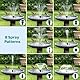 Biling Springbrunnenpumpe mit 10 Düsen, 300 l/h DC Teichpumpe zur Verwendung mit 6V-10V Solarpanel (ohne Solarmodul) für Vogelbad, kleinen Teich, Gartenwasserspiel, mit Filter und Trockenlaufschutz