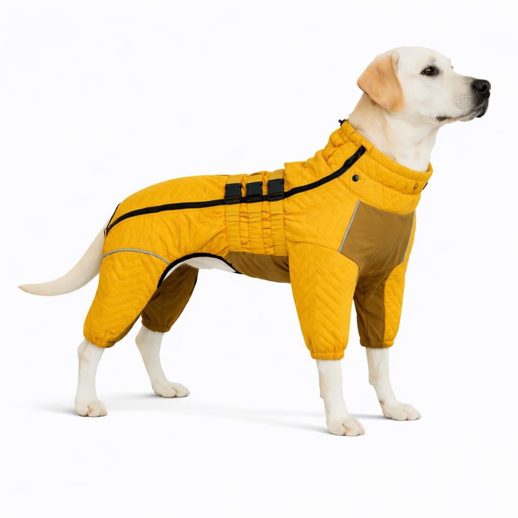 Abrigo cálido para perro, chaleco de perro de doble capa, 4 patas cubiertas, resistente al viento, impermeable, reflectante, chaleco cálido para perro, patinaje al aire libre, disfraz de perro