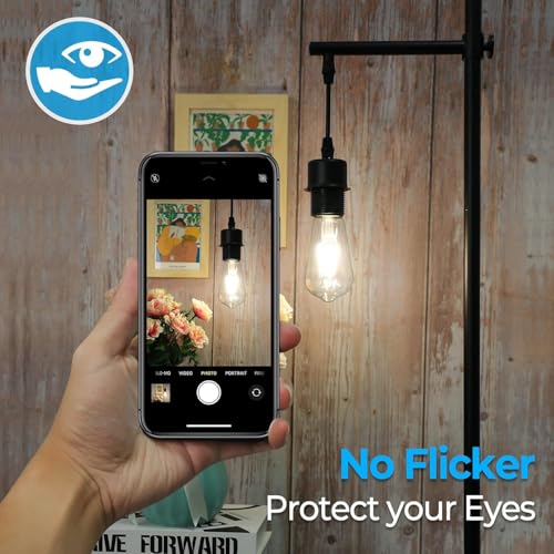 Image of ST19 LED Bulb 6W Equivalent 60W 4000k Neutral White 120V, 12PCS High Output ST19 LED Bulbs Dimmable, No Flicker ST 19 E26 Base Led Bulb, ST 19 LED Edison Light for Indoor Outdoor Lighting