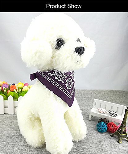 Newtensina Mode Hundebandana Halsband HundeHalsband Junge Mittel Bandana Hündchen Bandana mit Halsband für Hunde - Purple - S
